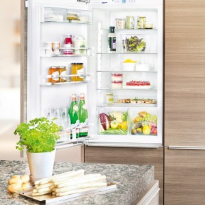 Im richtig befüllten Kühlschrank bleiben Lebensmittel bis zu dreimal länger frisch. (Foto: Liebherr) 