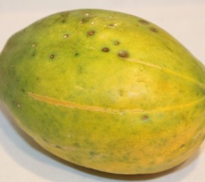 In unseren Supermärkten gibt es meist nur halbreife Papaya. (Bild Benjamin Klack, pixelio.de